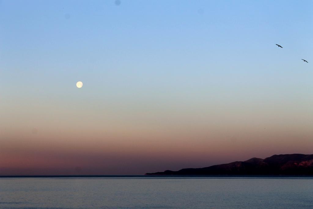 לינה וארוחת בוקר Il Vecchio E Il Mare מראטיאה מראה חיצוני תמונה